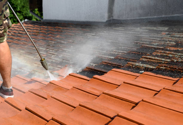 Best Commercial Building Pressure Washing  in Selma, AL