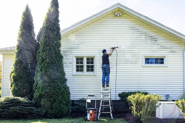 Professional Pressure Washing in Selma, AL