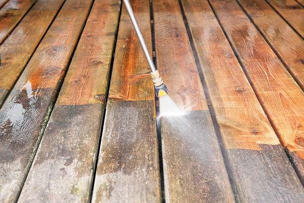 Best Roof Pressure Washing  in Selma, AL